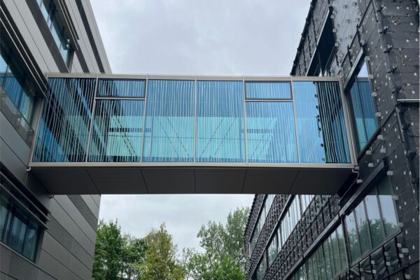 Vogelschutz Vogelschutz