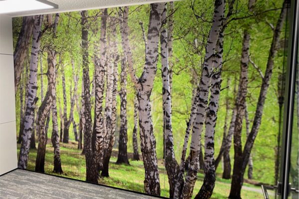 Wandfolierung Wandfolierung