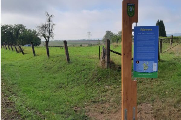 Wanderwegweiser Wanderwegweiser